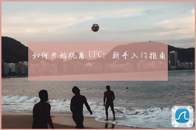 如何开始观看 UFC:新手入门指南