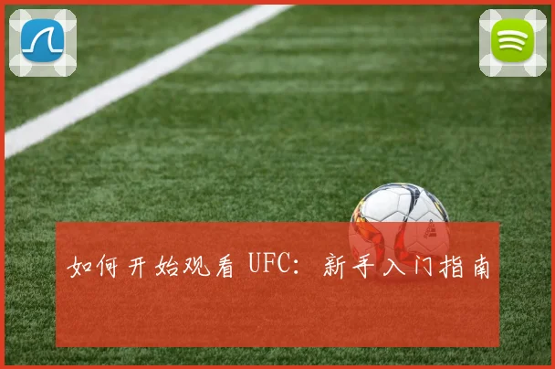 如何开始观看 UFC:新手入门指南