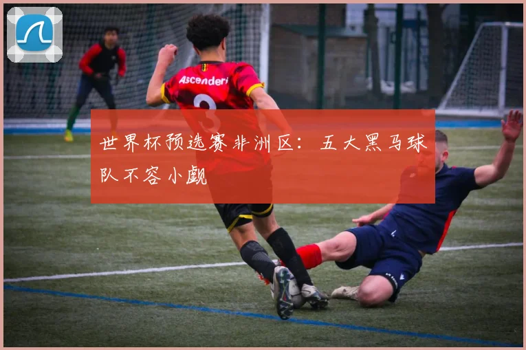 世界杯预选赛非洲区：五大黑马球队不容小觑