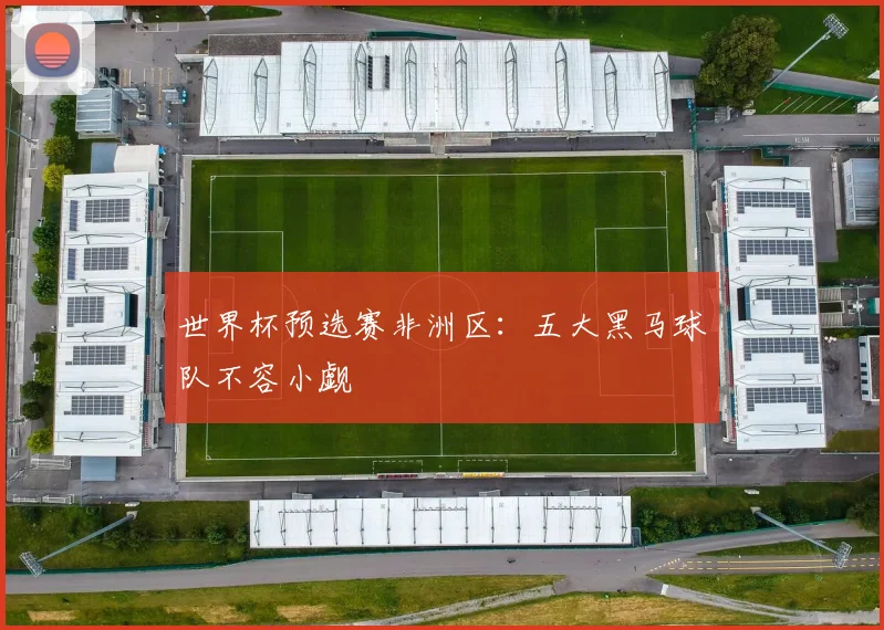 世界杯预选赛非洲区：五大黑马球队不容小觑
